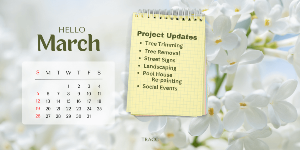 March-Project-Updates-2023