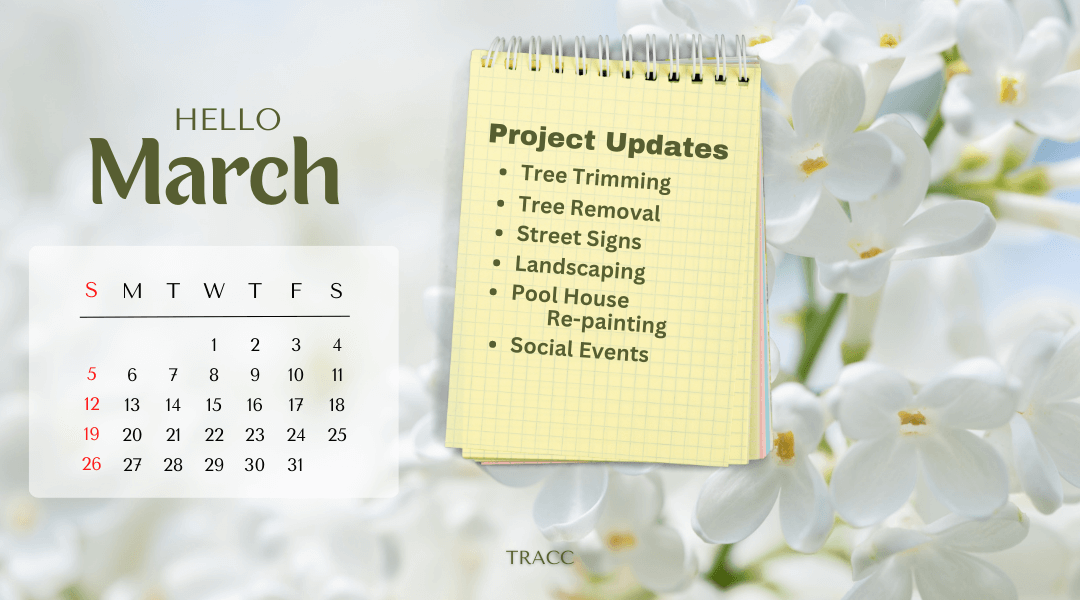 March 2023 Project Updates