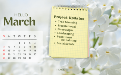 March 2023 Project Updates